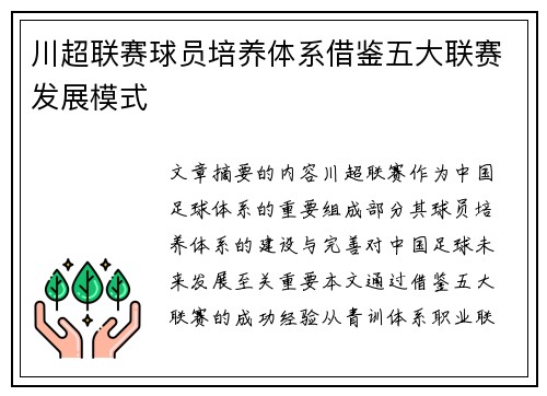 川超联赛球员培养体系借鉴五大联赛发展模式