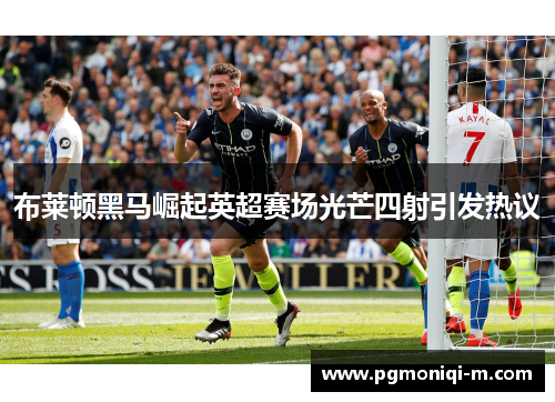 布莱顿黑马崛起英超赛场光芒四射引发热议