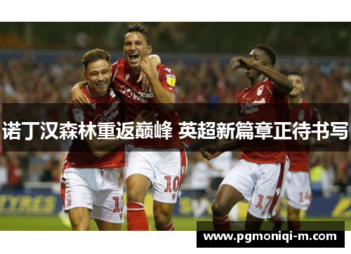 诺丁汉森林重返巅峰 英超新篇章正待书写